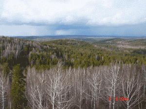 1.gif
