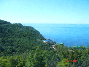 DSC01915.gif