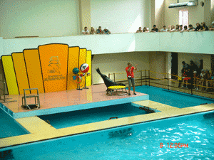 DSC02174.gif