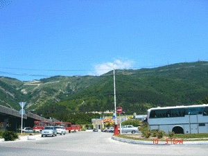 DSC02456.gif