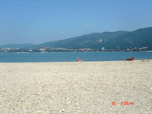 DSC02818.gif