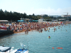 DSC02905.gif
